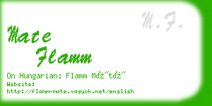 mate flamm business card